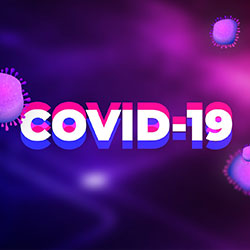 Covid-19 responsable d'une baisse du marché des jeux d'argent
