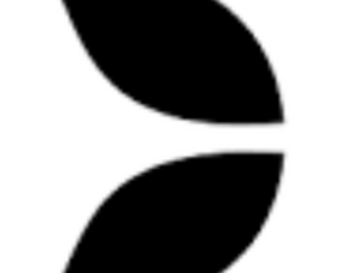 Résultats décevants du groupe Evolution au 3ème trimestre 2025